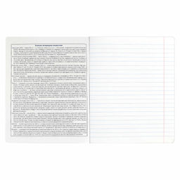 Тетрадь предметная арт. 69832/ 16 КОТЫ МЕМЫ ЛИТЕРАТУРА