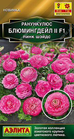 Ранункулюс Блюмингдейл II F1 пинк шэйдс