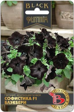 Петуния крупноцветковая Софистика F1 Блэкбери