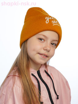 D3-2100 (54-56) Колпак