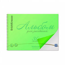 Цена за 2 шт. Альбом для рисования с пластиковой обложкой на спирали ErichKrause Neon зеленый, А4, 30 листов