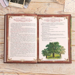 Родословная книга в шкатулке Древо семьи, 56 листов, 20 х 26 см - Семейные традиции фото 6