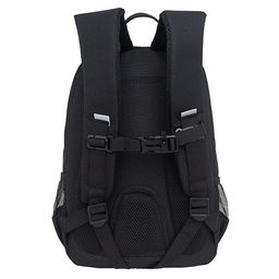 RG-464-3f Рюкзак школьный - Grizzly фото 48