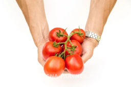 Томат Великосветский - Партнер фото 3