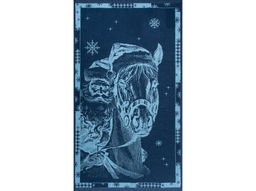 Полотенце махровое 6с103.412ж1 Мороз-наездник(джинс) 50х90см