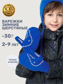 Варежки 14з17025 электрик