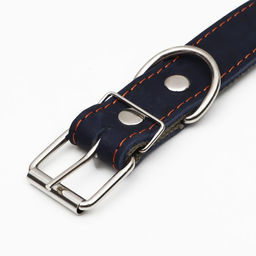 Ошейник комбинированный кожа/брезент, безразмерный, 70 х 3,5 см, ОШ 25-60 см, синий - Пижон фото 4