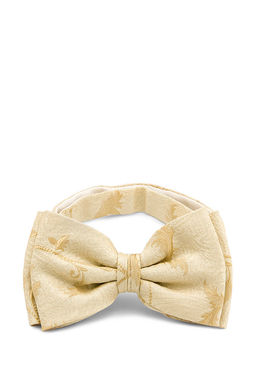 Галстук-бабочка мужской CASINO Casino-poly-wedding 512.1.493