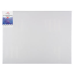 Холст грунтованный на подрамнике VISTA-ARTISTA ACFG-6090 100% хлопок 60 х 90 см 320 г/кв.м 2 шт Плещеевский мелкозернистый