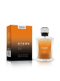 Dilis STARK POWER Туалетная вода для мужчин 100 мл