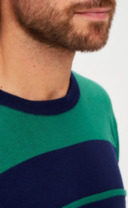 Джемпер мужской в полоску P221-15-1709 сине-зелёный - Primm фото 6