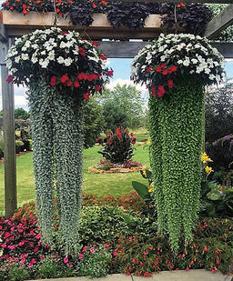 90e3387c680f633d3b9e263e9abe4681894u1ms5glmex1gaj