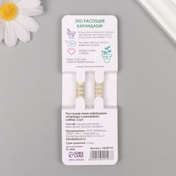 Набор для выращивания, карандаши подарочные «Ромашка + Лаванда», mini, простые чернографитные, 2 шт.