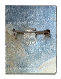 Значок Смольный