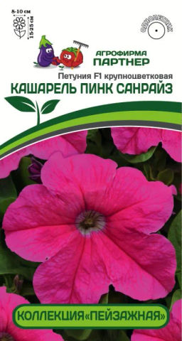 Петуния Кашарель Пинк Санрайз крупноцветковая компактная