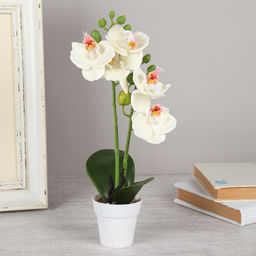 Цветочная композиция Орхидея 30 см / LM-1798 /уп 144/ - ГалеонТрейд фото 2