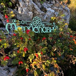 Шиповник (порошок) - Мариславна фото 2