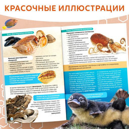 Книга Биология для детей, 68 стр. - Буква-ленд фото 6