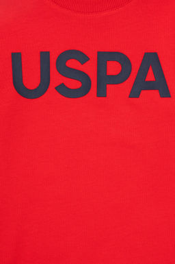 Красный базовый свитшот для мальчика - U.s. polo assn фото 3
