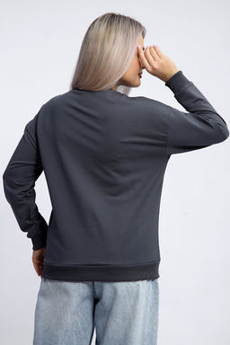 Толстовка 80047