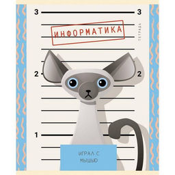 Цена за 5 шт. Тетрадь 48 л. А5 кл. скреп. Unnika ПУШИСТЫЕ ХУЛИГАНЫ Информат. мел. карт., твин-лак, фольга