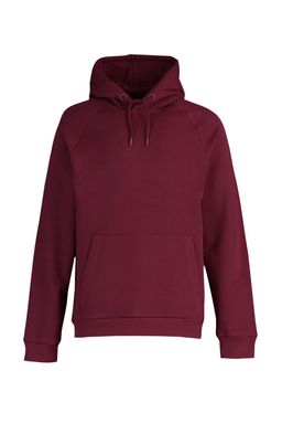TRENDYOL MAN Gri Regular/Normal Kesim Kapusonlu Ici Polar/S?cak Tutan Sweatshirt TMNAW23SW00194 - Trendyolmilla фото 29