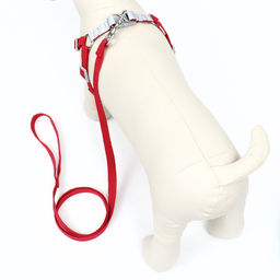 Комплект Sport+, S, поводок 120 x 1,5 см, ОШ 39-41 см , ОГ 44-48 см, вес животного 7-13 кг, красный - Пижон фото 3