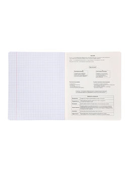 Комплект 12 предметных тетрадей «Градиент», 48 листов, справочная информация, 60 г