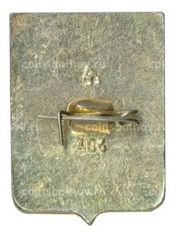 Значок Судогда