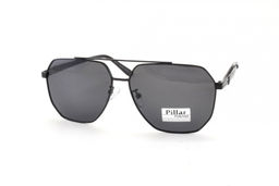 PILLAR POLARIZED 6010 С1 58-16-140