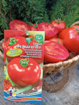 Томат ПРЕЗИДЕНТ III F1 Суперпопулярный! Крупноплодный! Очень вкусный! Устойчив к болезням! - Уральский дачник фото 3