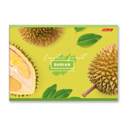 Светоч 48АЛСК4_1_3_9 Альбом для рисования 100 г/м2 A4 29 х 20.5 см 48 л. 5 шт. на скобе 000260 Зелёная ракета фото 23