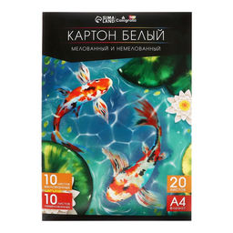 Картон белый А4, 20 листов: 10 листов мелованного плотность 200 г/м², 10 листов немелованного плотность 200 г/м², в папке