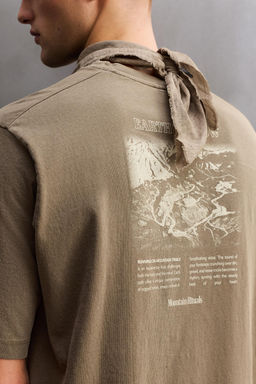 CAMISETA REGULAR FIT GR?FICO ESTAMPADO / Marr?n / Topo