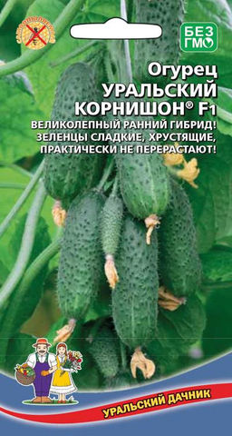 Огурец УРАЛЬСКИЙ КОРНИШОН F1 Великолепный ранний гибрид! Зеленцы сладкие, хрустящие, не перерастают!