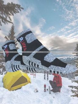 Цена за 12 пар. "АЛЯСКА" Термоноски спортивные ВНУТРИ МАХРА женские, подростковые арт. 1258