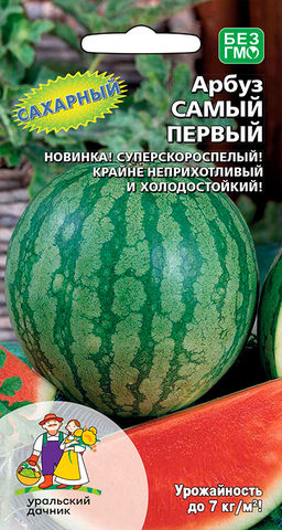 Арбуз САМЫЙ ПЕРВЫЙ