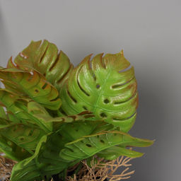 Искусственный цветок в горшке Асплениум премиум, 21?10.5 см, МИКС