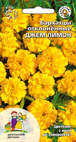 Бархатцы ДЖЕМ ЛИМОН  Отклонённые