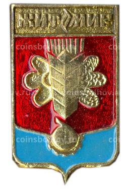 Значок Житомир