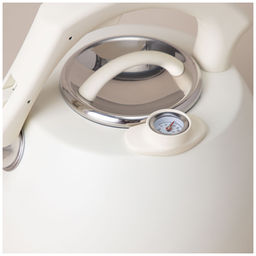 ЧАЙНИК AGNESS СО СВИСТКОМ, СЕРИЯ ТЮДОР, 3,0Л ТЕРМОАККУМУЛИРУЮЩЕЕ ДНО,ИНДУКЦИЯ,ВСТРОЕННЫЙ ТЕРМОМЕТР  фото 5