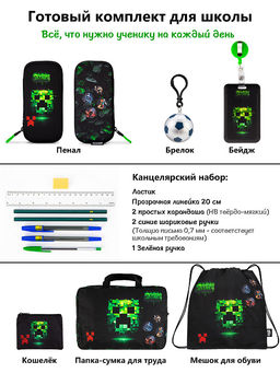 Рюкзак SkyName set-R9-1 + мешок для обуви, папка, пенал, кошелек, бейдж, канц.наб, бр. мячик, значки  фото 15