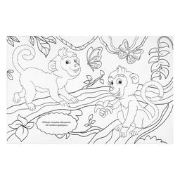 Раскраска длинная В тёплых странах - Буква-ленд фото 3