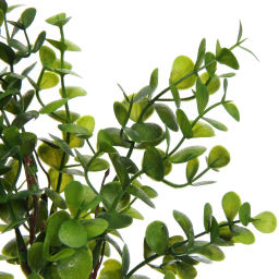 Цена за 2 шт. Искусственные цветы "Волшебство трав" 37см Эвкалипт темно-зеленый