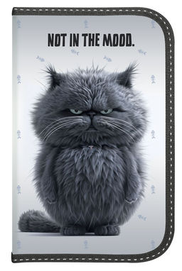 Пенал 1 отд. 190*115мм, Schoolformat "Не в духе" (ПКБ-НВД, 257370) ламинация