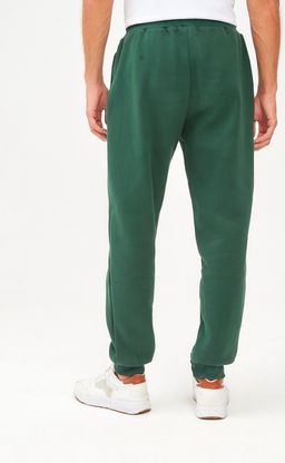 Брюки спорт F121-0821-1 pine - Fine joyce фото 5