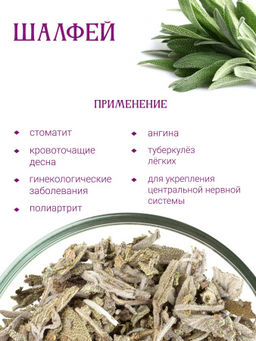 Шалфей - Травы горного крыма фото 2