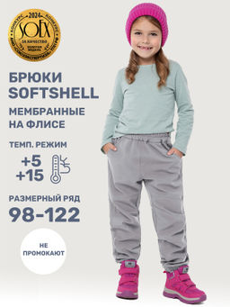Брюки 2л17025 серый