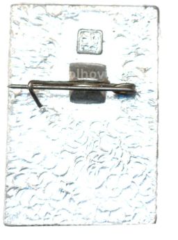 Значок Общество охраны памятников истории и культуры РСФСР