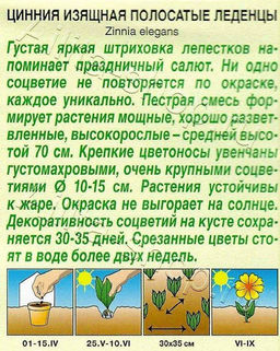Цинния Полосатые леденцы, смесь окрасок 0,3г (Аэлита)